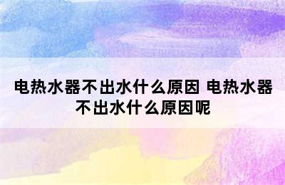 电热水器不出水什么原因 电热水器不出水什么原因呢